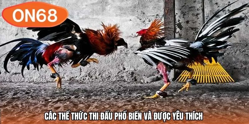 Các thể thức thi đấu phổ biến và được yêu thích