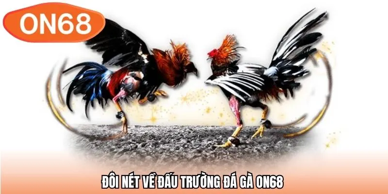 Đôi nét về đấu trường đá gà ON68