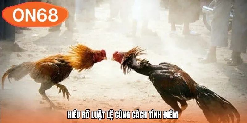 Hiểu rõ luật lệ cùng cách tính điểm