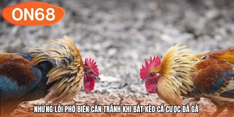 Những lỗi phổ biến cần tránh khi bắt kèo cá cược đá gà